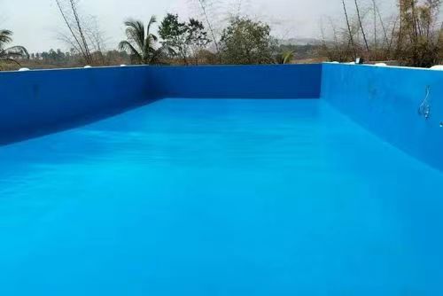A vibrant blue polyurea-coated swimming pool interior, showcasing a seamless, high-gloss waterproof membrane applied to both the floor and vertical walls. The uniform finish highlights the materi